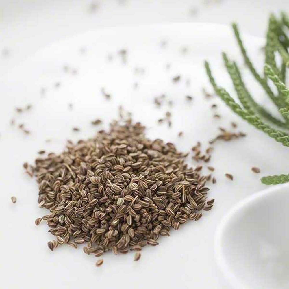 Celery Seed, Powder Nature's Flavors