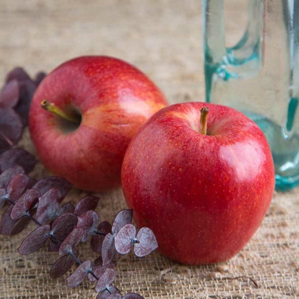 Apple Flavor Oil (5X Fold), Natural