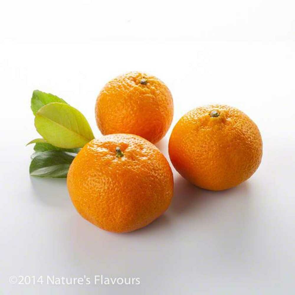 Sante Mandarin Orange Essential Oil Nature's Flavors