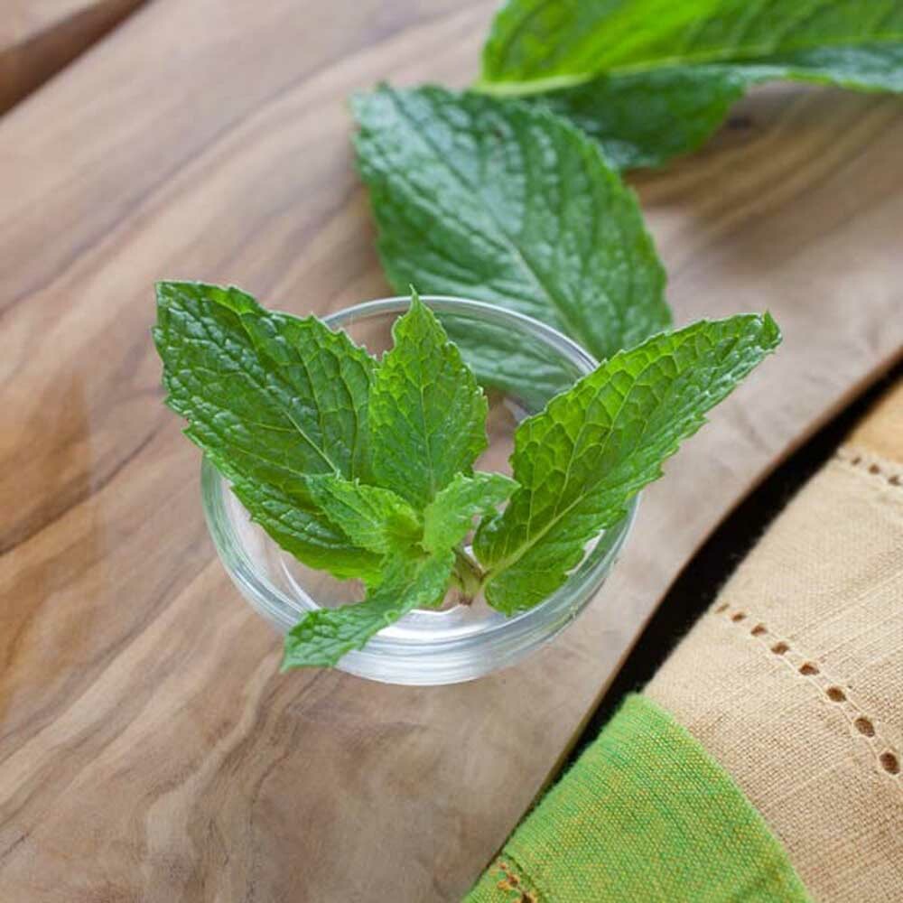 Menthol Flavor Powder | Nature's Flavors