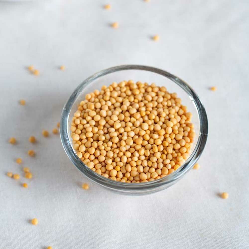 Mustard Seed Flavor Powder (Sugar Free) Nature's Flavors