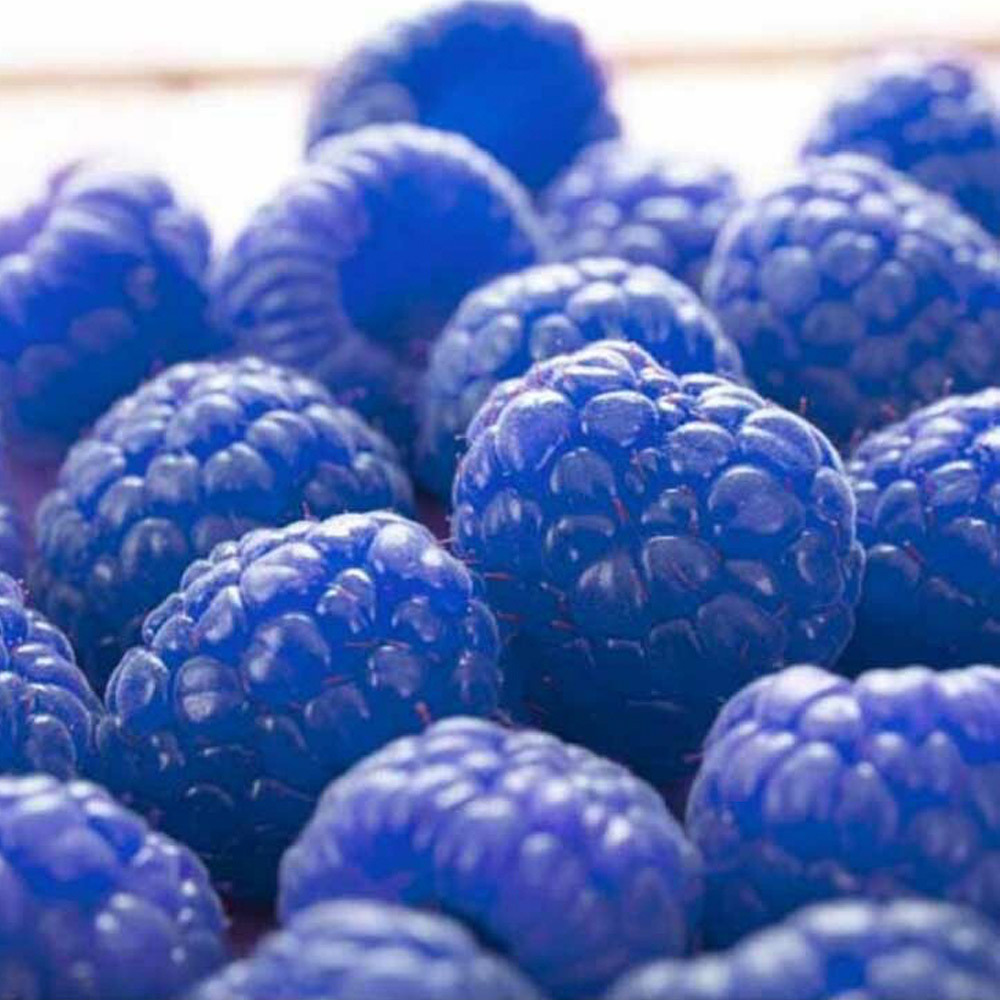 Blue Raspberry Flavor Emulsion, Organic | Nature's Flavors