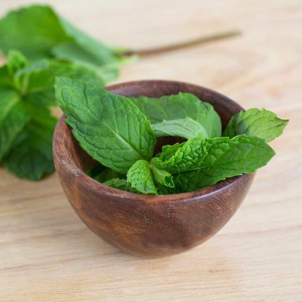 Pure Peppermint Extract, Organic