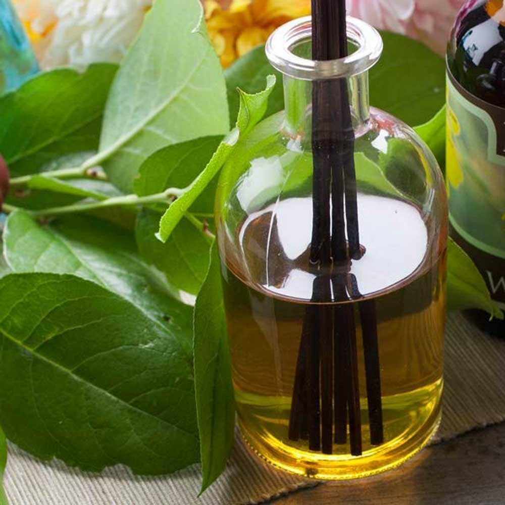 Clary Sage Fragrance Oil (Oil Soluble), Organic