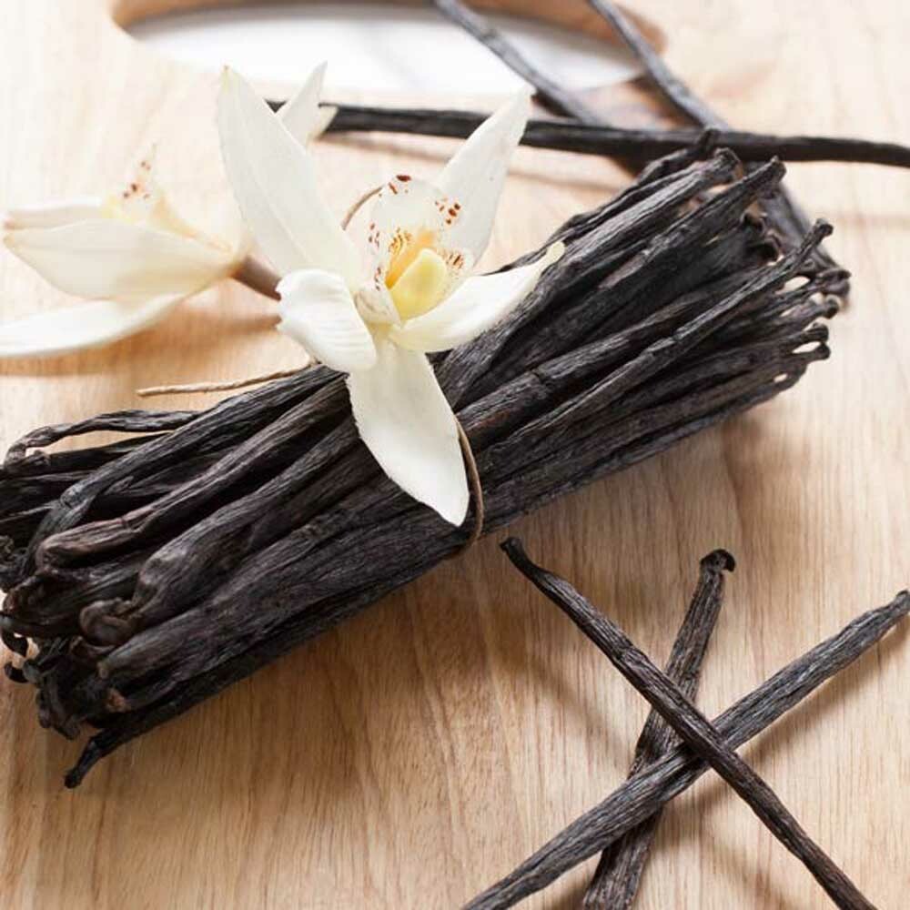 Vanilla Fragrance Oil (Coconut Notes) (Oil Soluble), Organic