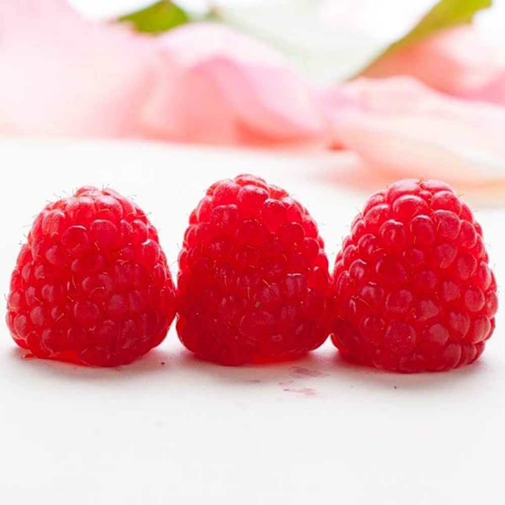Raspberry Flavor Extract, Organic - TTB Approved