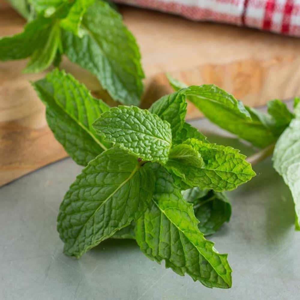 Organic Peppermint Fragrance Emulsion (Water Soluble) Nature's Flavors