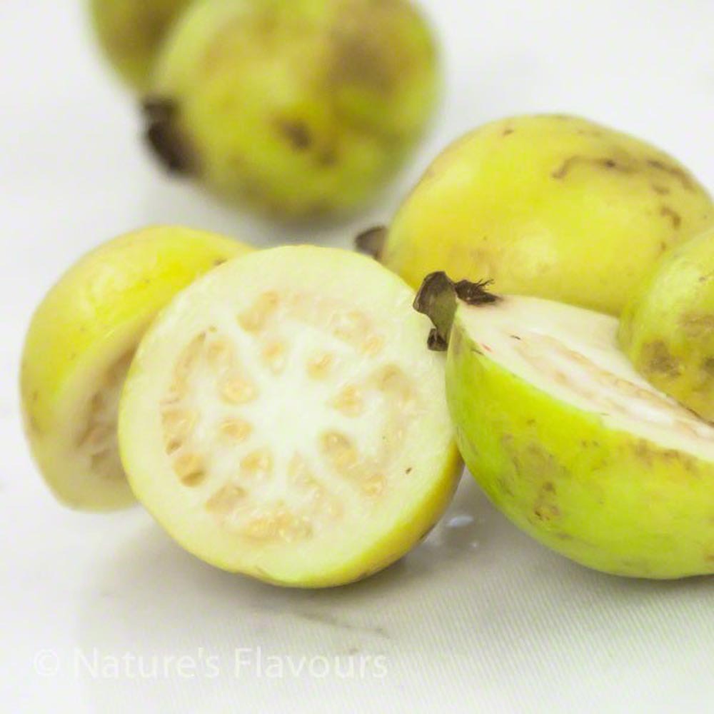 Guava Flavor Concentrate, Organic Nature's Flavors