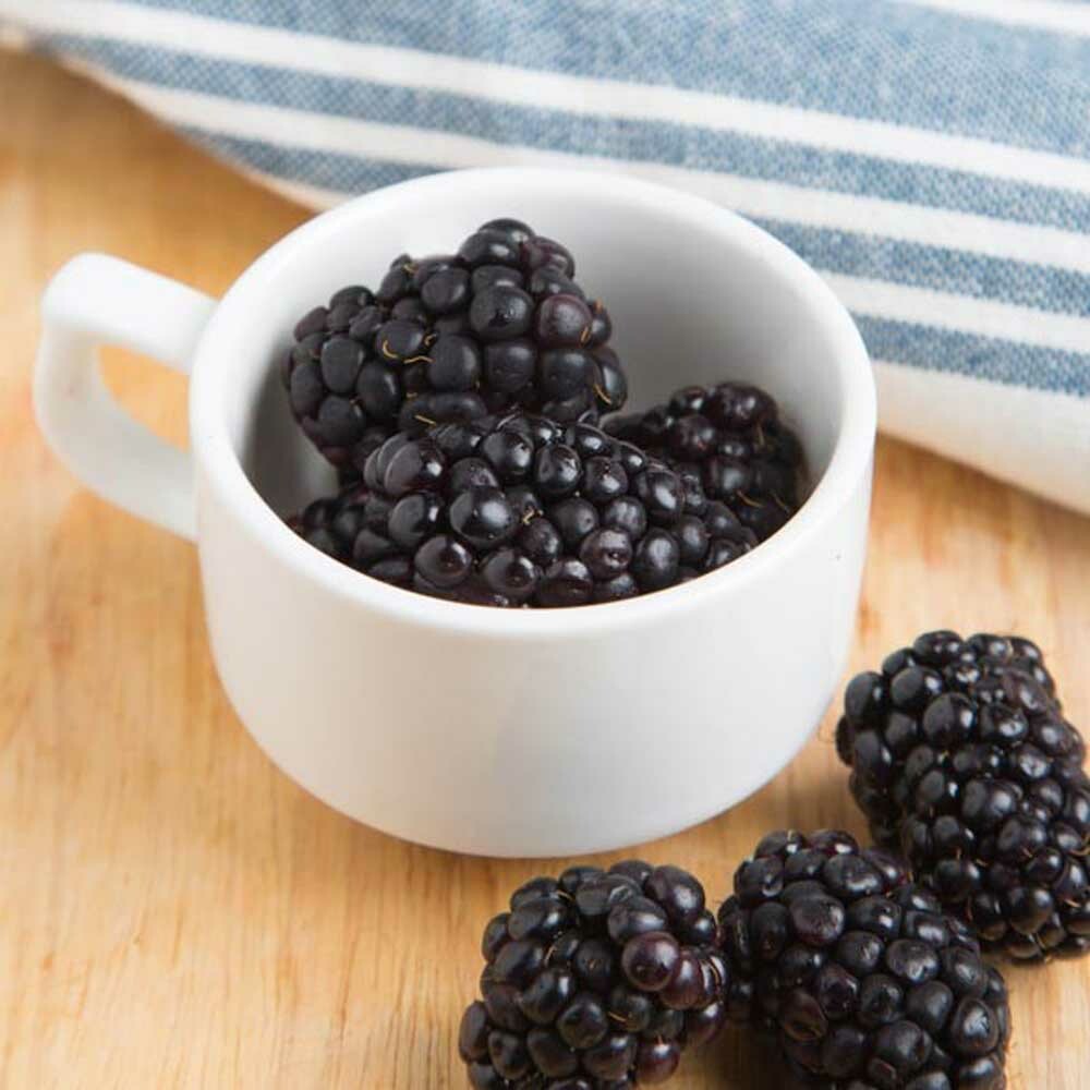 Black Raspberry Coffee and Tea Flavoring Without Diacetyl | Nature's ...
