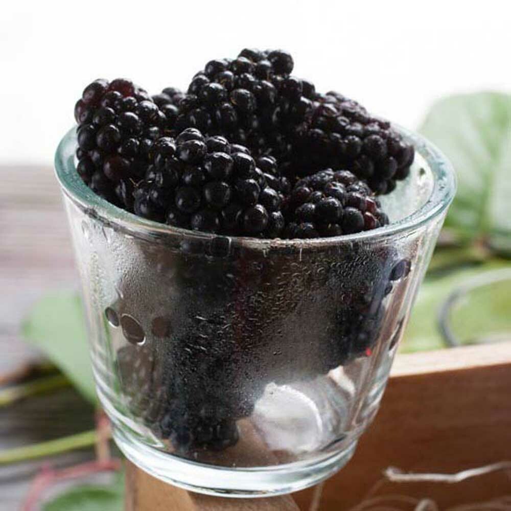 Boysenberry Flavor Powder (Sugar Free) Nature's Flavors