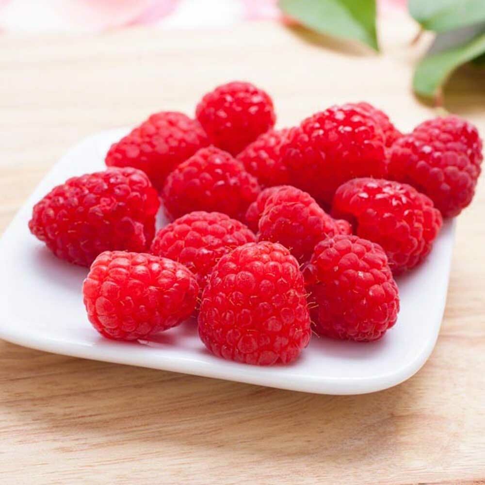 Raspberry Compound , 100 Organic Nature's Flavors