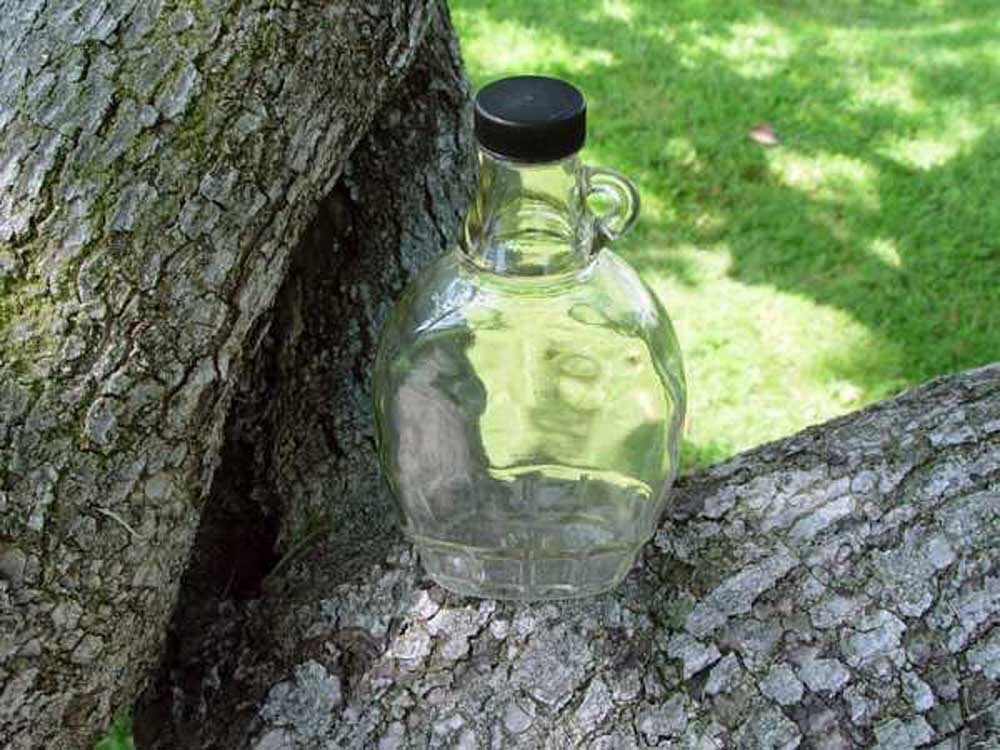 Maple Syrup Bottles 12 fl. oz. Nature's Flavors