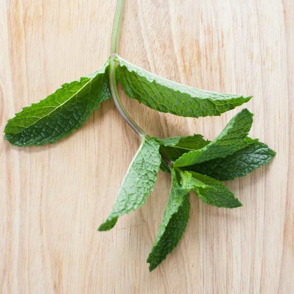 Menthol Flavor Extract, Organic