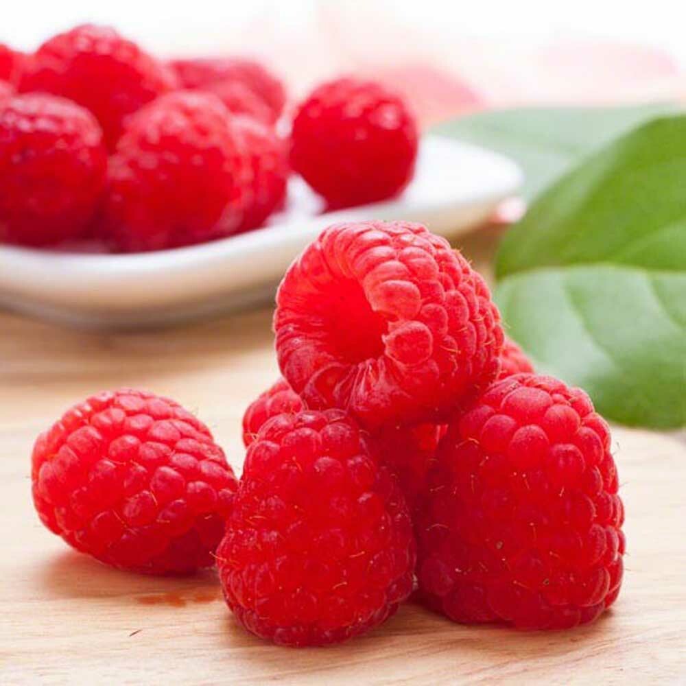 Raspberry Cotton Candy Floss Sugar, Organic