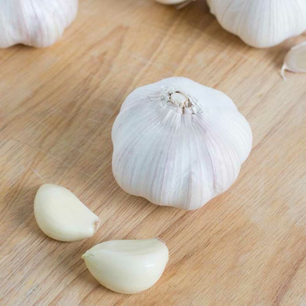Garlic Tincture Nature's Flavors