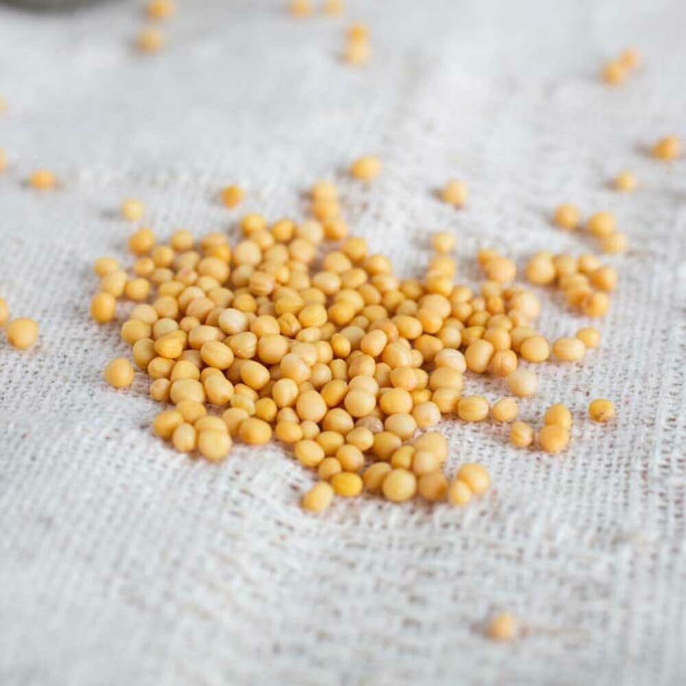 Mustard Seed Cotton Candy Sugar Nature's Flavors