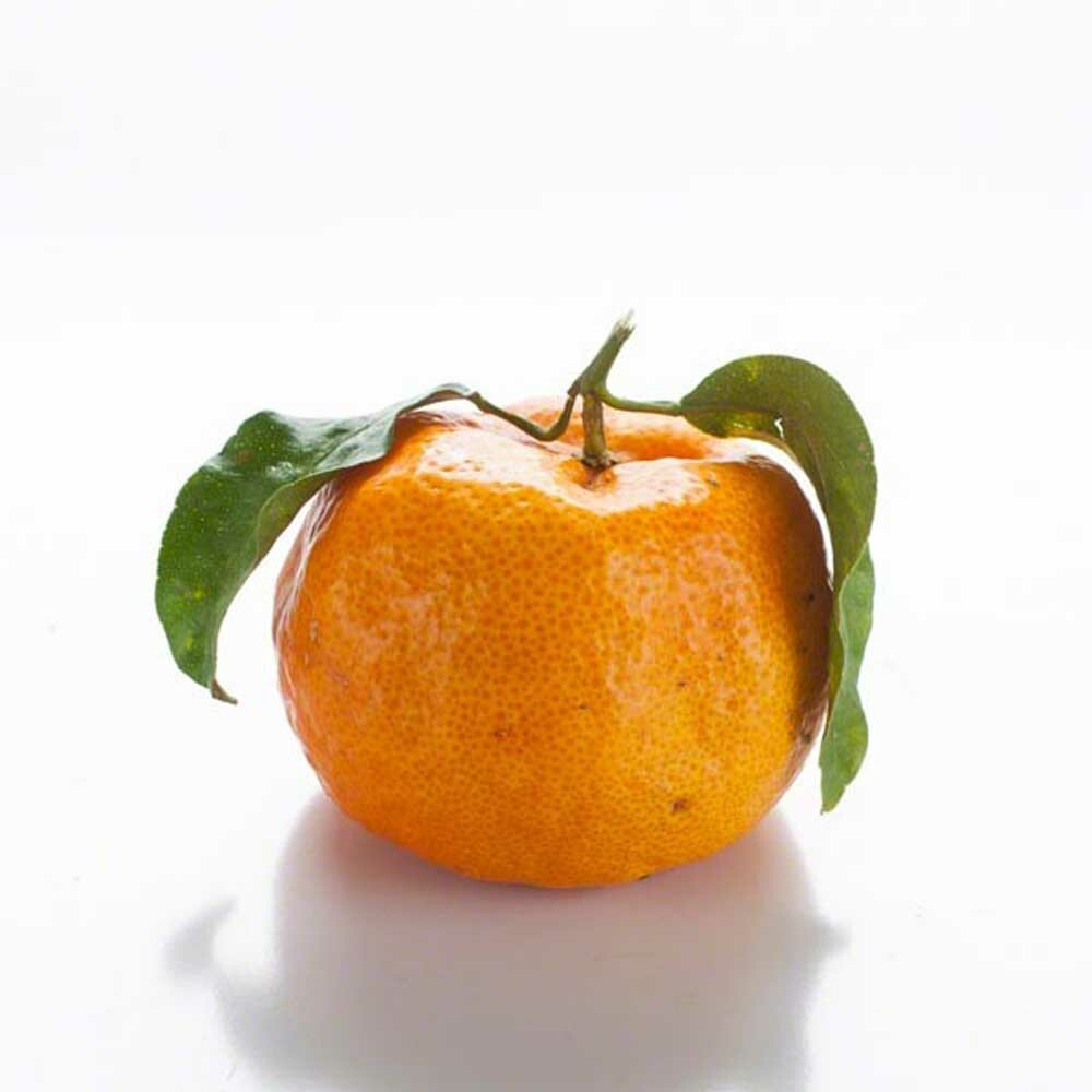 Mandarin Orange Italian Soda Syrup Nature's Flavors