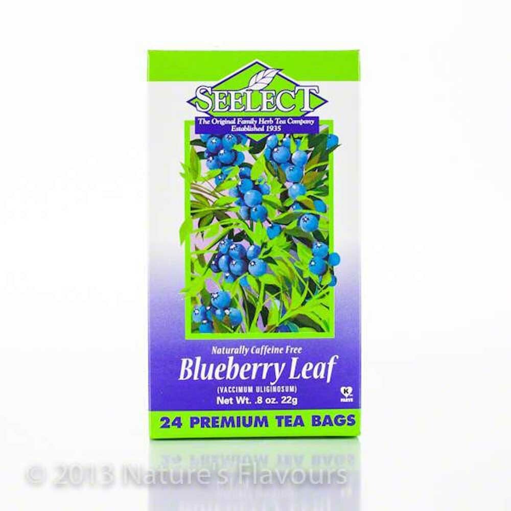 Blueberry Leaf Tea (24 Bags) Nature's Flavors