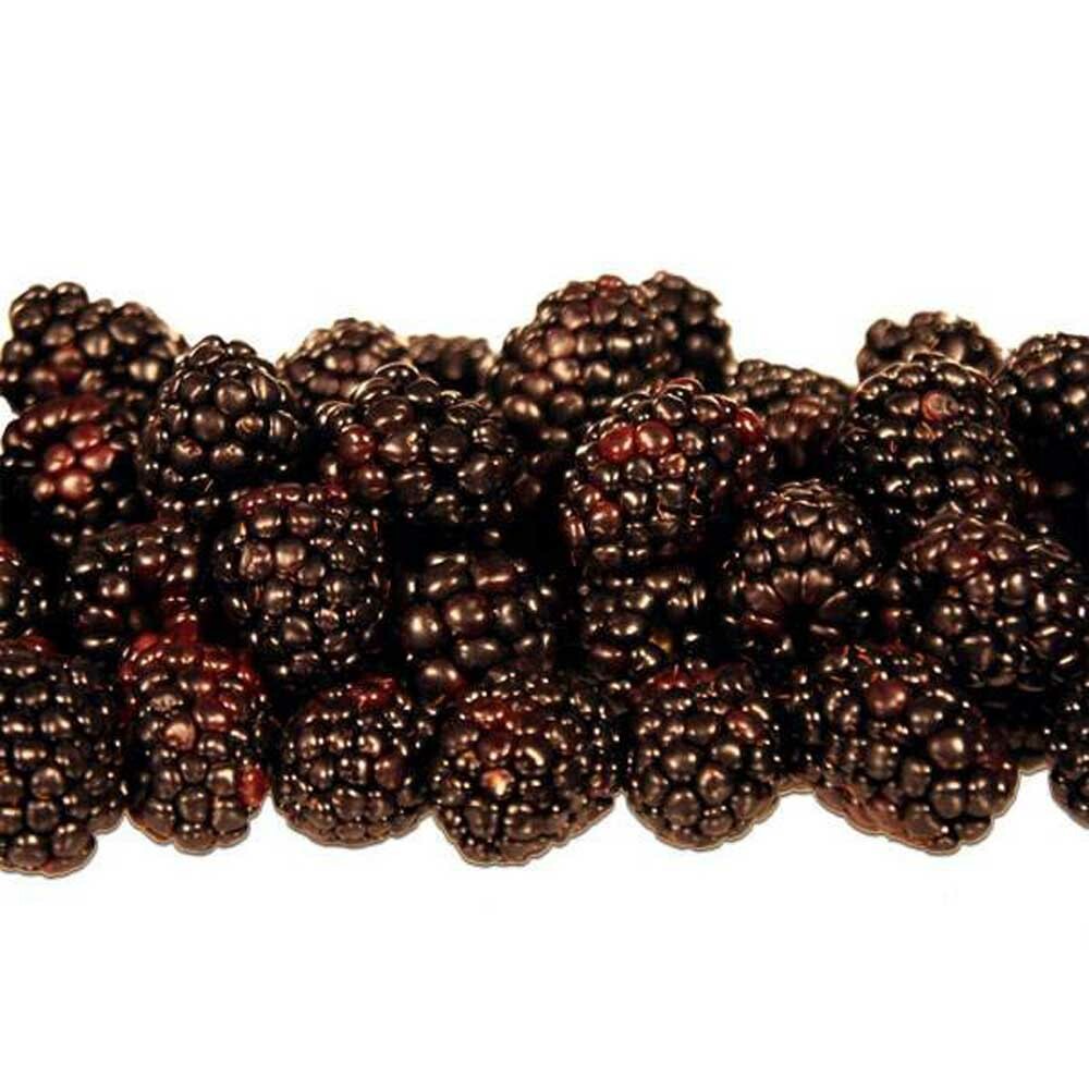 Organic Boysenberry Pancake Syrup Nature's Flavors